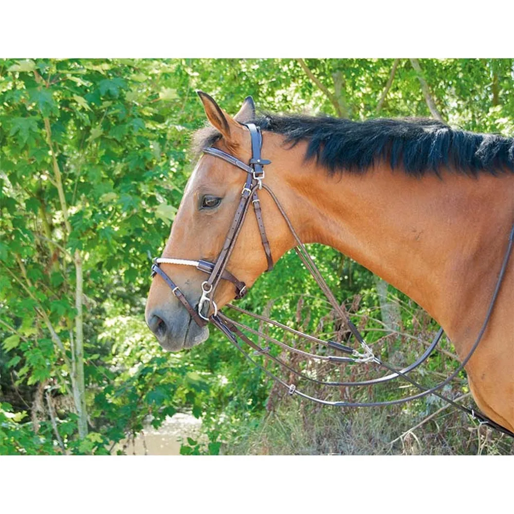 Gogue classique T de T pour Cheval