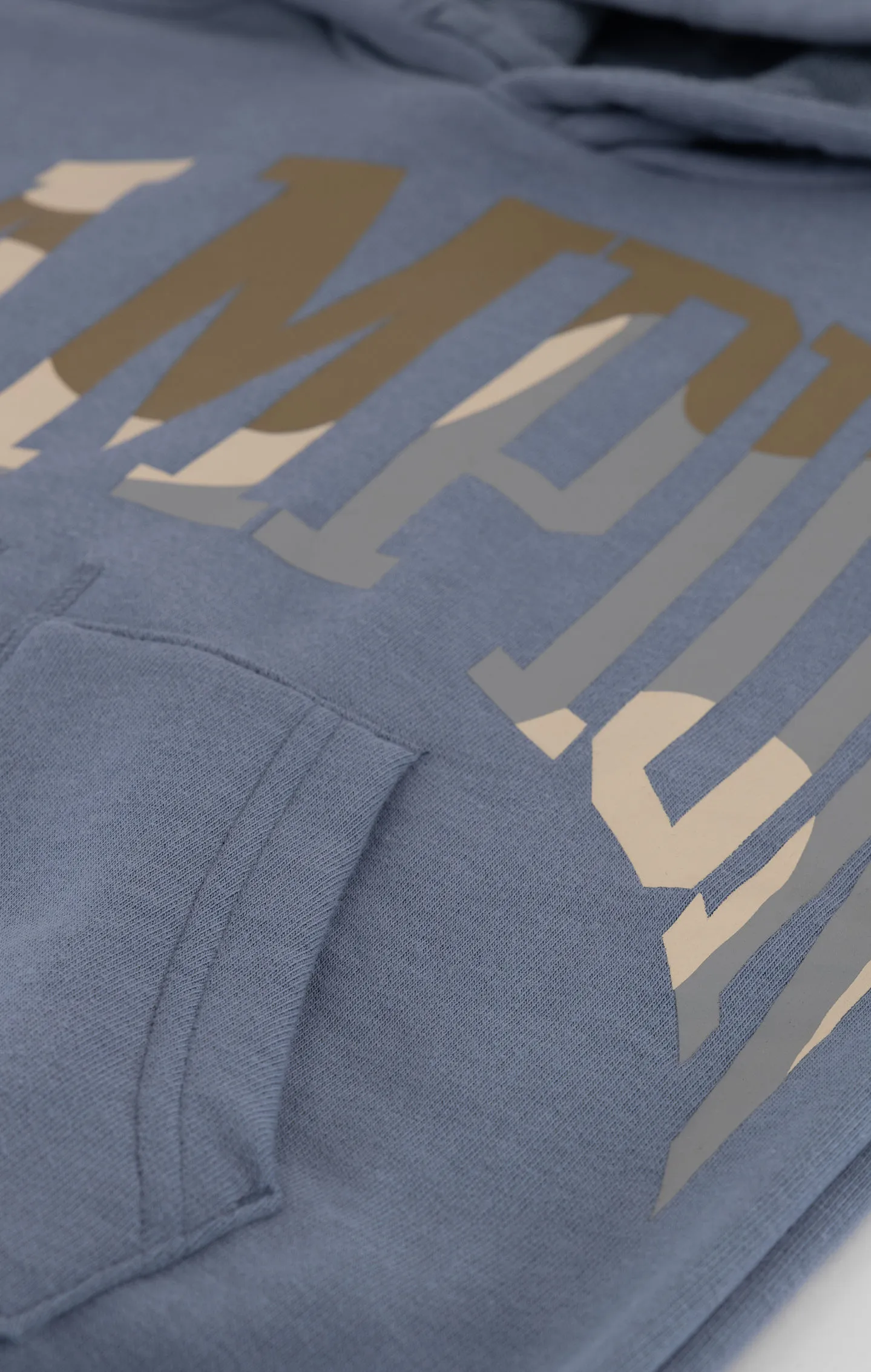 Sweatshirt à capuche et grand logo lettrage - Garçons | Champion France